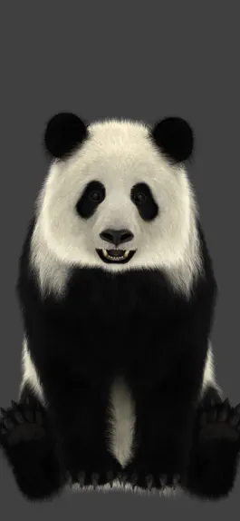 Game screenshot Panda AR mod apk