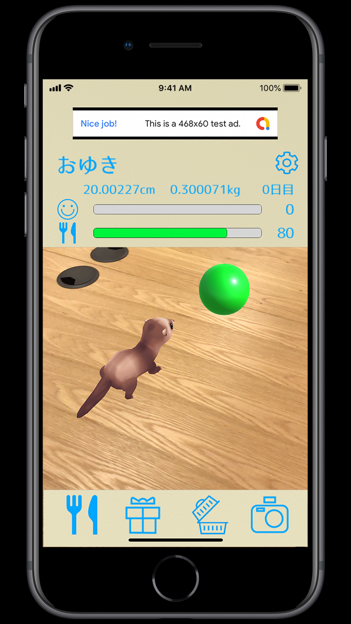 フェレットといっしょ