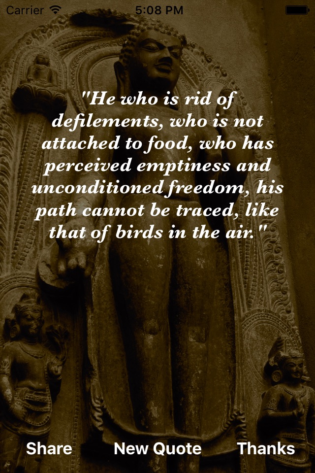 Buddha Wisdom screenshot 3