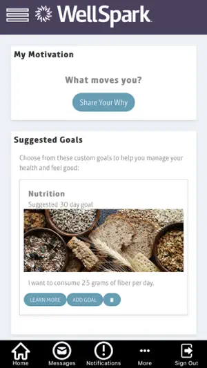 WellSpark screenshot 2