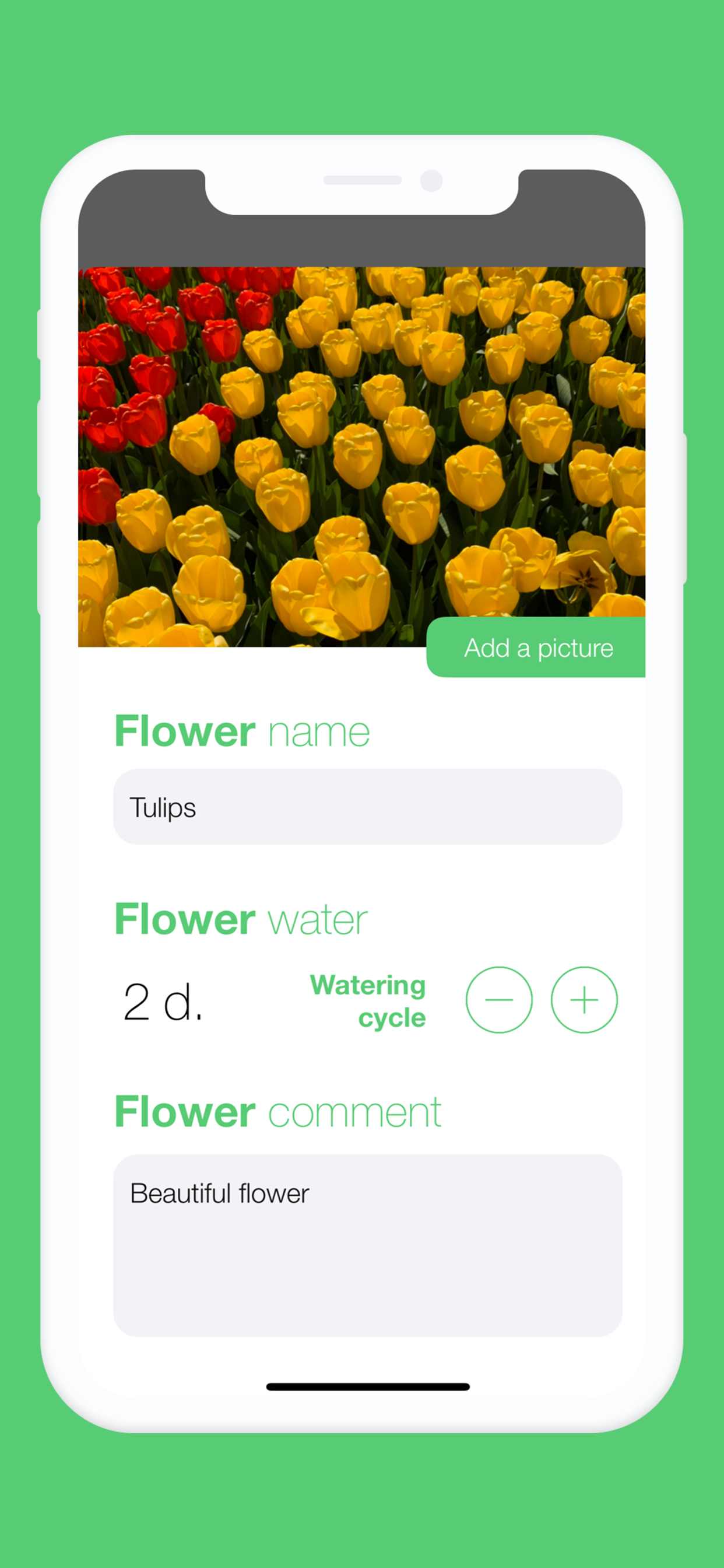 Water Flower