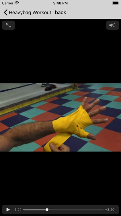 Boxing The Sweet Science screenshot-6