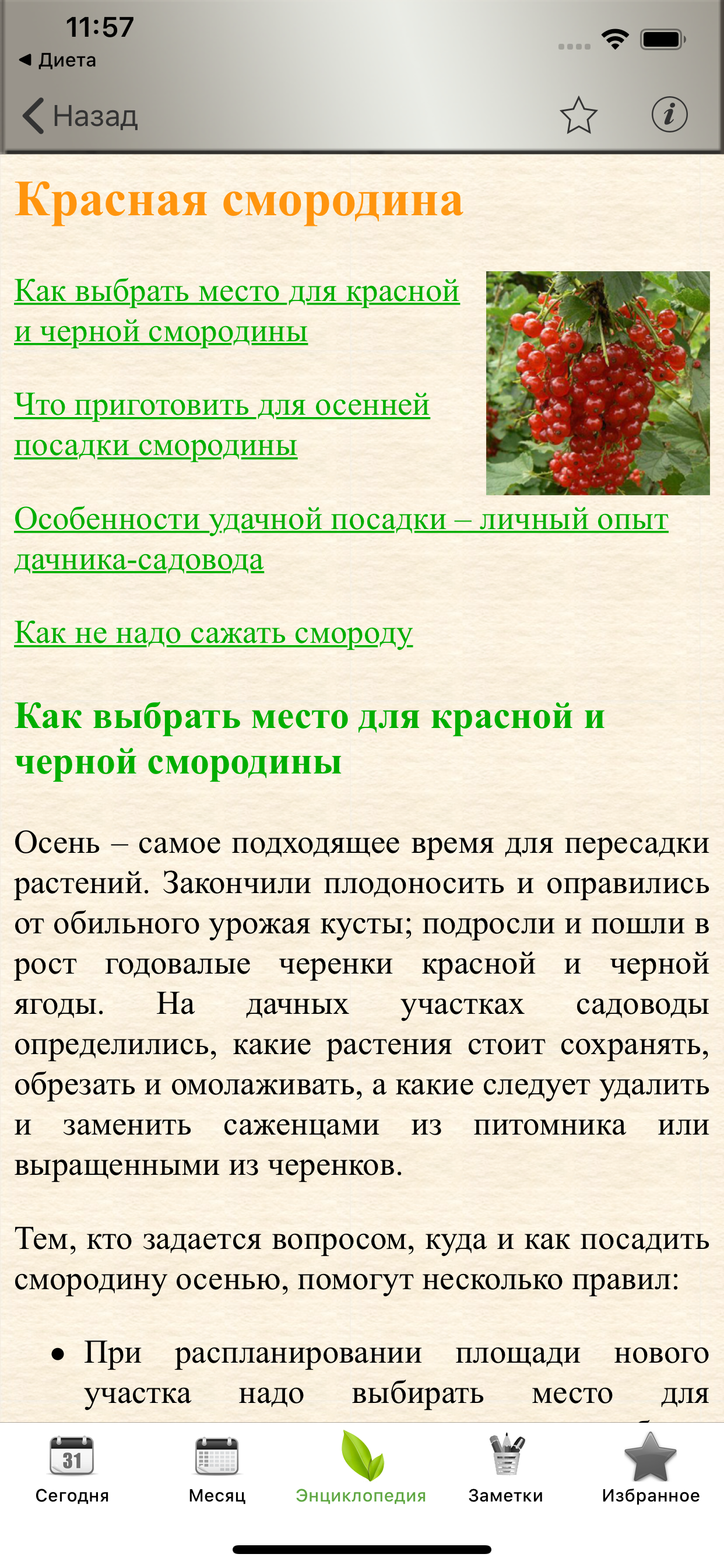 Лунный посевной календарь