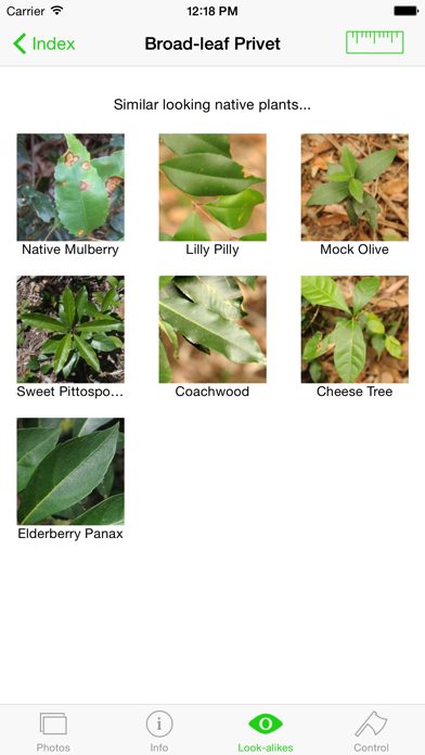 Environmental Weeds of Sydney Screenshot