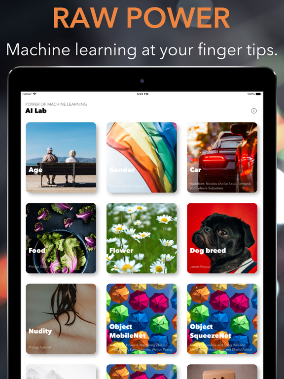 Screenshot #4 pour AI Lab