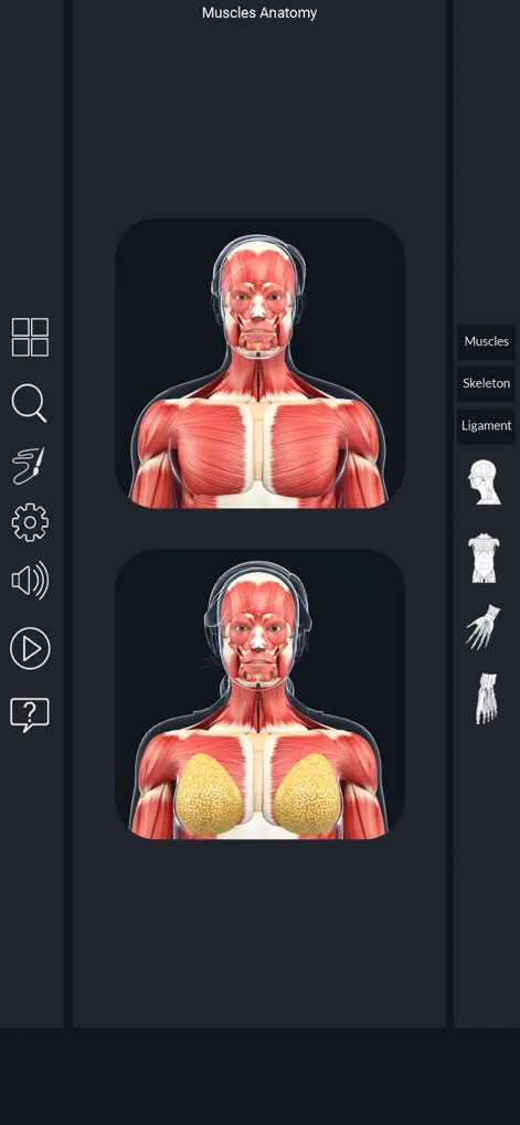 My Muscle Anatomy - Medical App | MWM