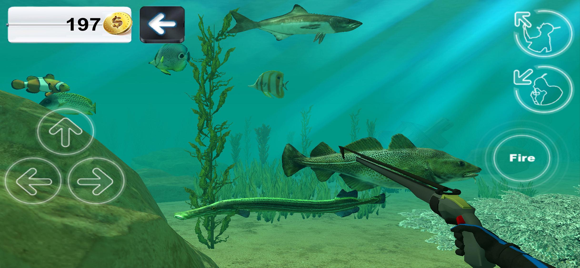 Hunter underwater spearfishing