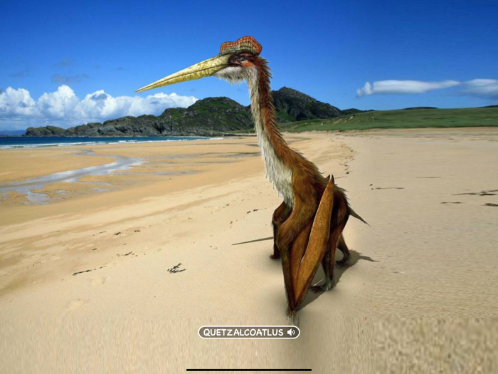 Cards of Dinosaurs for Toddler