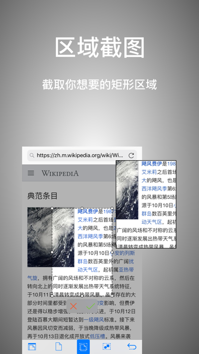 Screenshot #2 pour Webshot