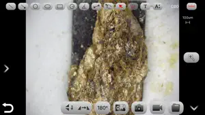 LW Scientific screenshot 2