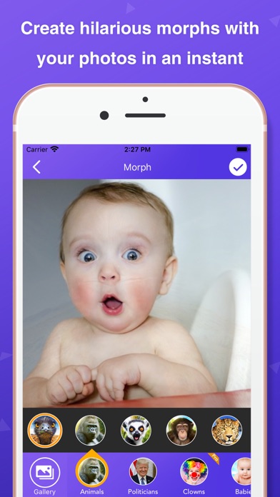 How to cancel & delete PicMorph - Morph Faces from iphone & ipad 1