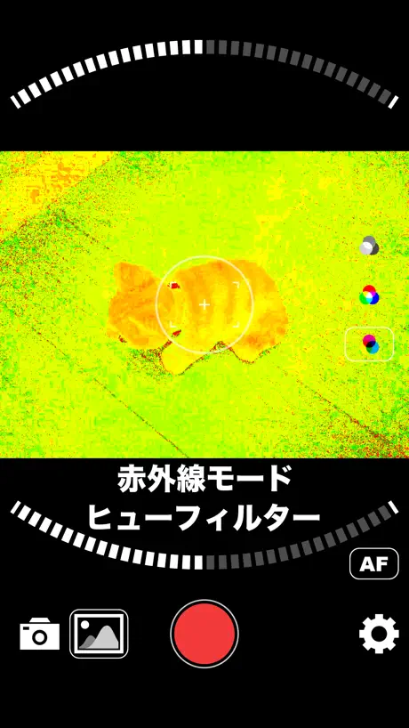 Live Photo Converter