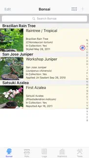bonsai album lite problems & solutions and troubleshooting guide - 1