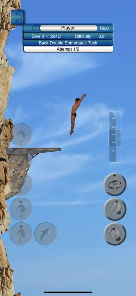 Cliff Diving Champ