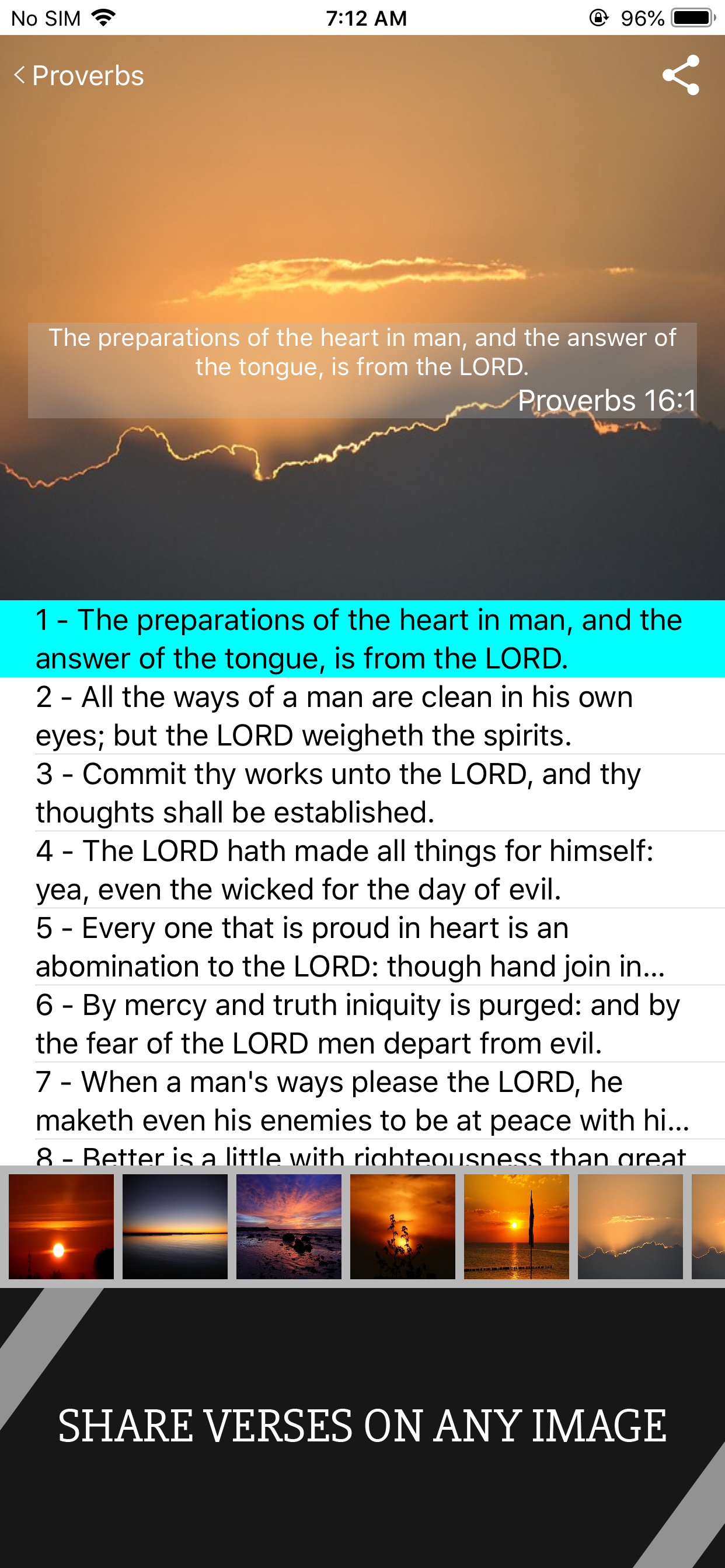 Scofield Reference Bible screenshot 8