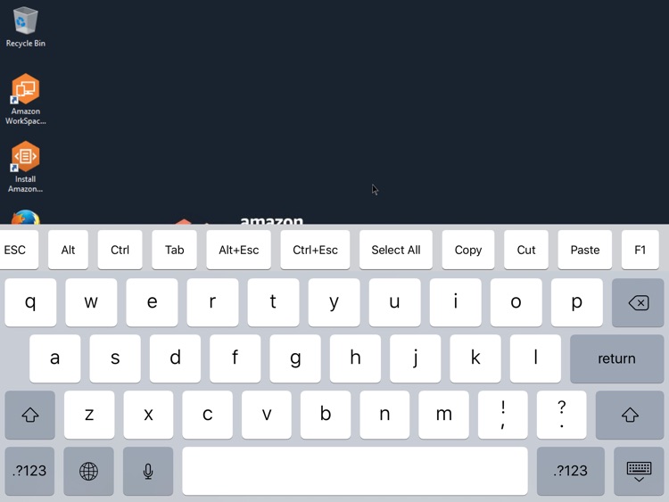 Amazon WorkSpaces screenshot-4