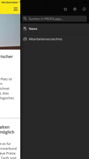 Screenshot von PROFILapp auf dem iPhone 2