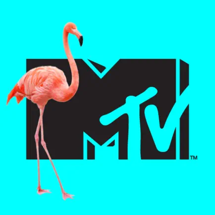 MTV Master Cheats