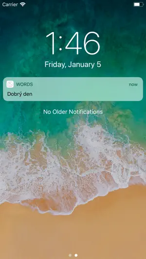 Words Notifications screenshot 1