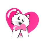 West Highland White Terrier