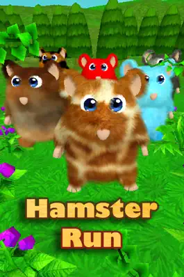 Game screenshot Hamster Run: 3D Dash mod apk