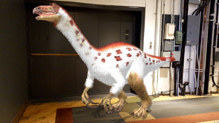 Dino Dan: Dino Cam screenshot-7