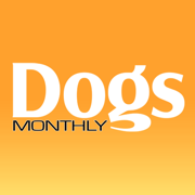 Dogs Monthly Magazine