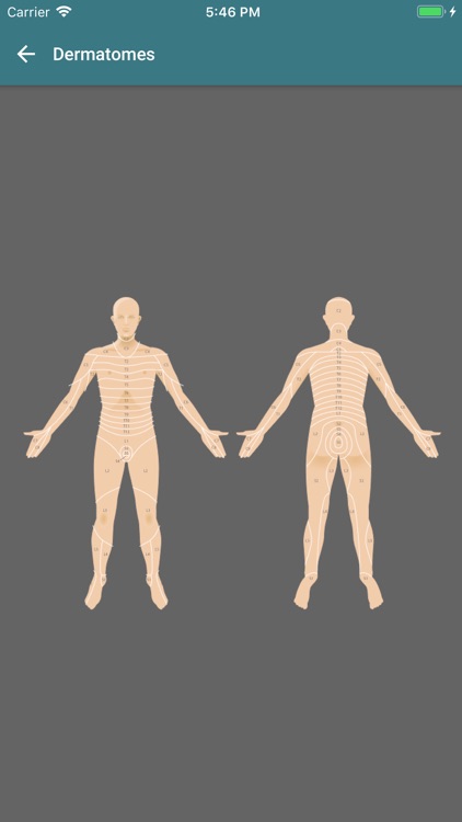 ChangePain screenshot-3