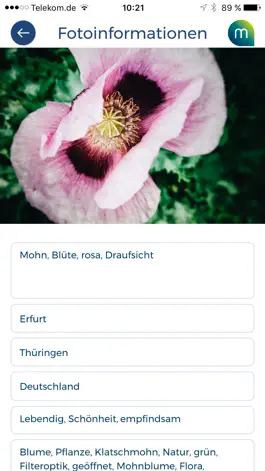 Game screenshot mauritius images hack