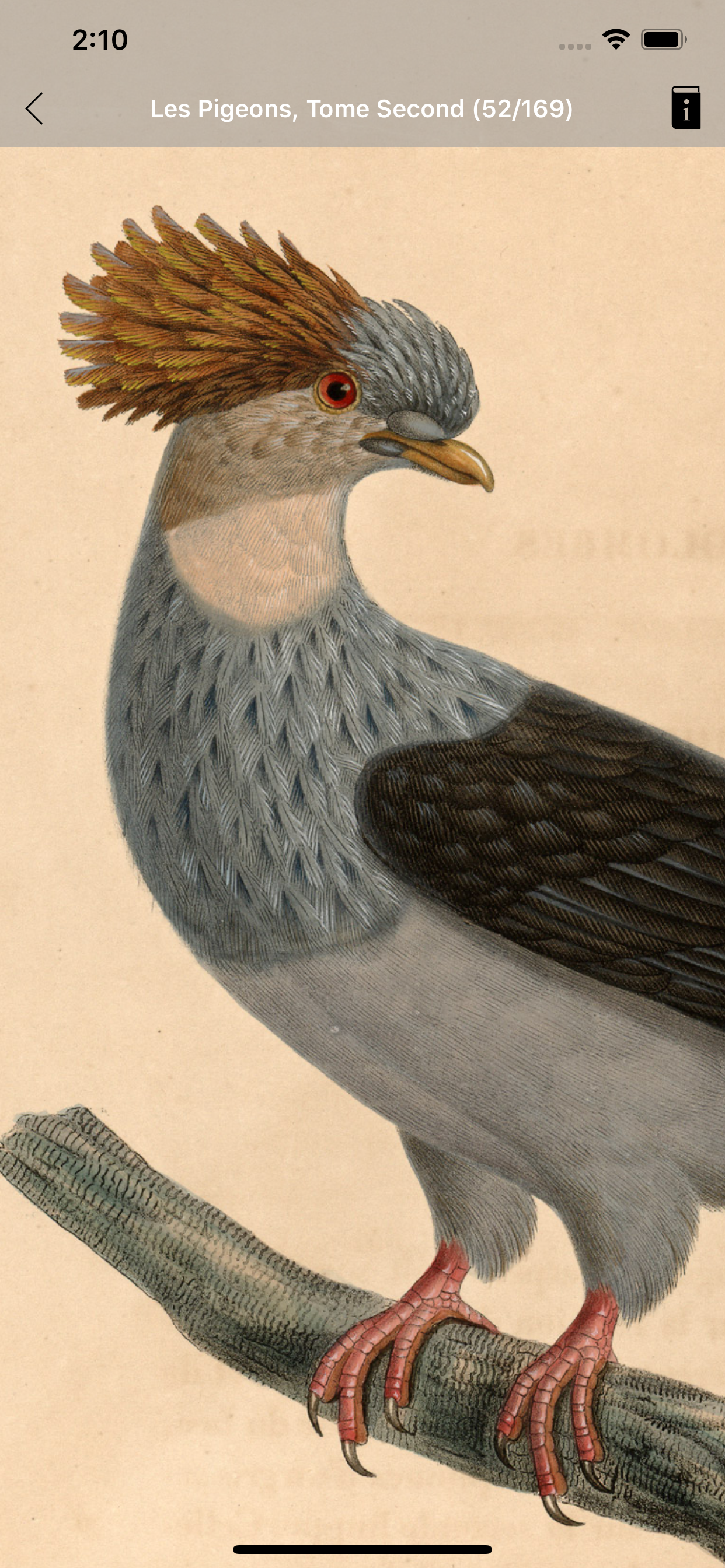 MAU M&L Natural History