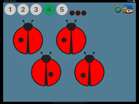 Ladybird Maths