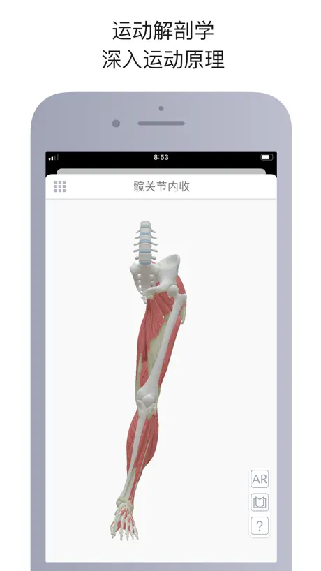 运动解剖