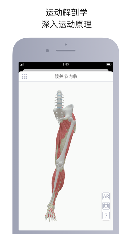 运动解剖 的 App Store 截图 6
