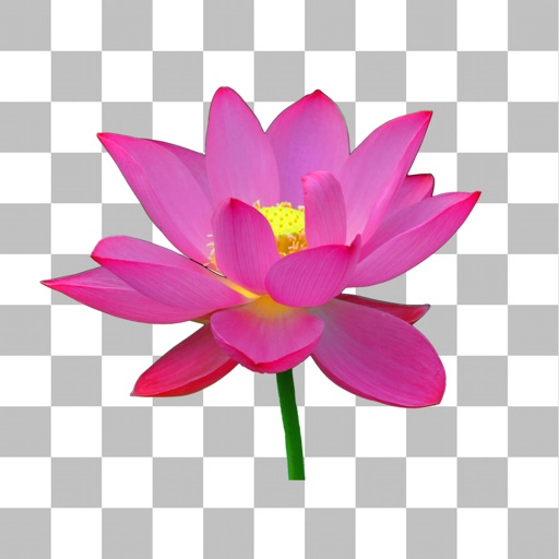 背景透明化Super PhotoCut - 写真ができる