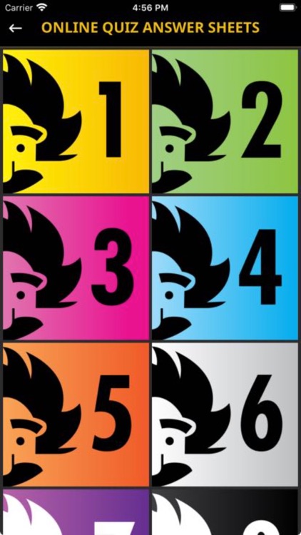 MR. BRIGHT'S PUB QUIZ screenshot-3