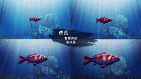 擷圖
