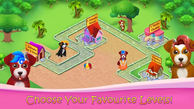 Fluffy Labrador Puppies Salon