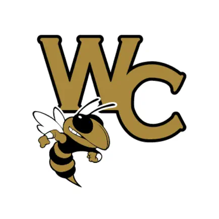 Wayne County GA Schools Читы