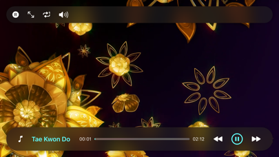 Screenshot #2 pour Musique Orientale: Expérience
