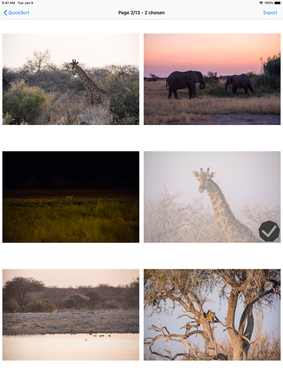 Screenshot #6 pour QuickSort - Sort Your Photos