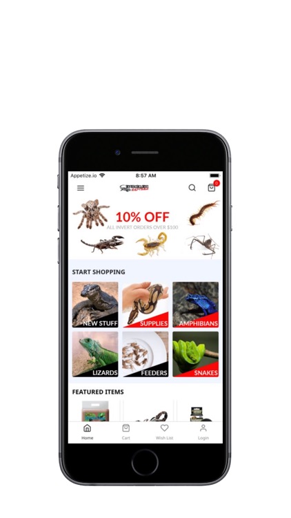 Underground Reptiles