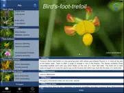 wild flower id british isles ipad bildschirmfoto 2