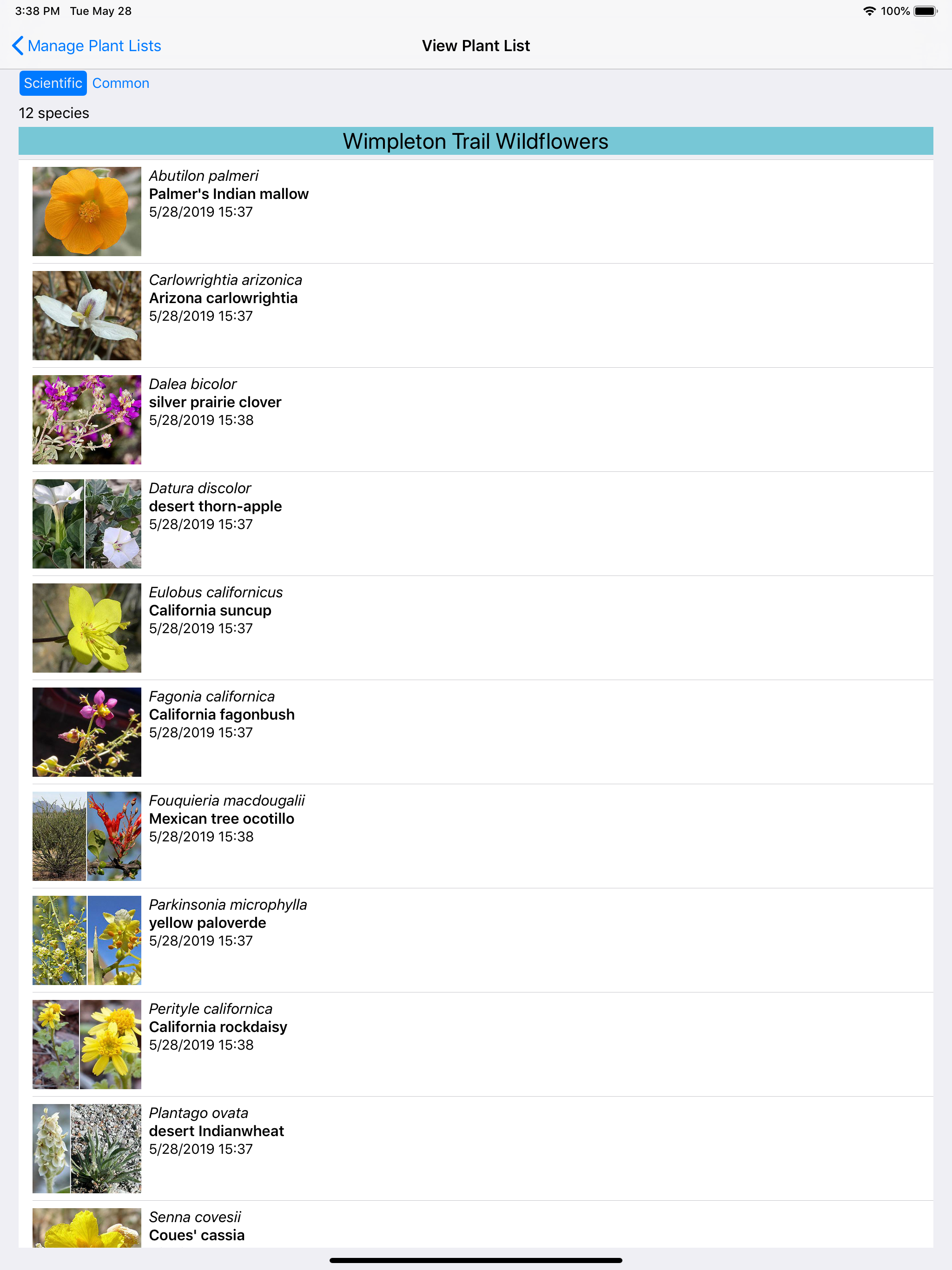 Northwest Mexico Wildflowers screenshot 16