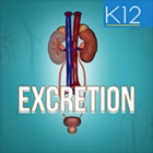 Top 39 Education Apps Like Excretion in Human Beings - Best Alternatives