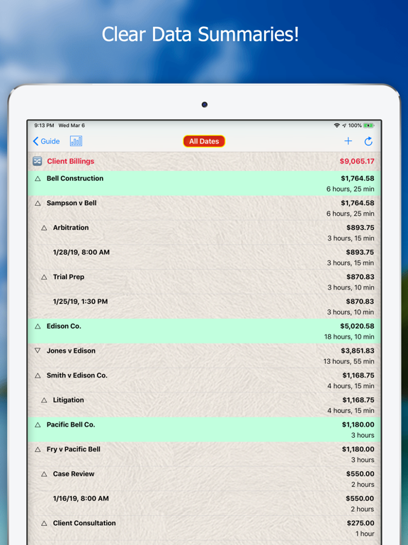 Client Hours iPad screenshot 4 - Business app