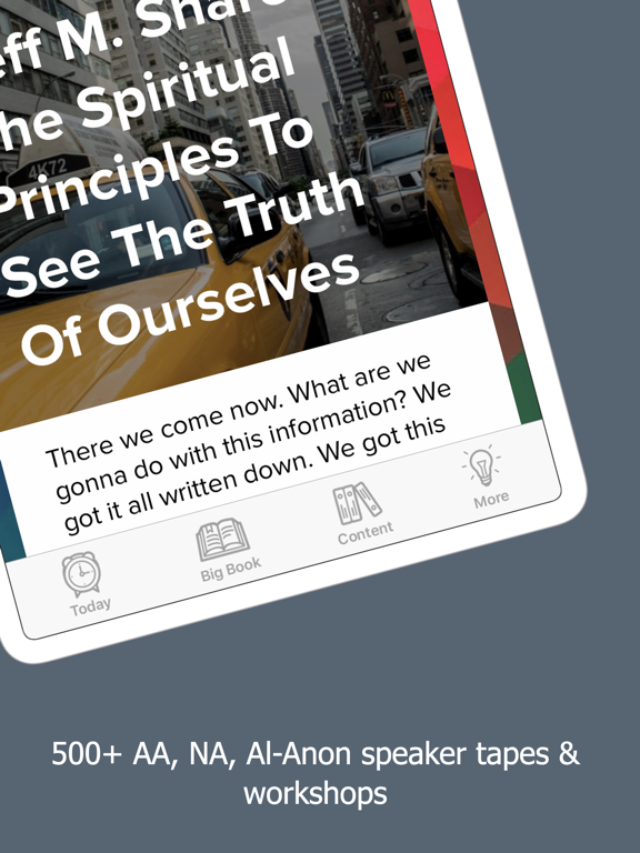AA Big Book Ultimate Companion iPad screenshot 4 - Lifestyle app
