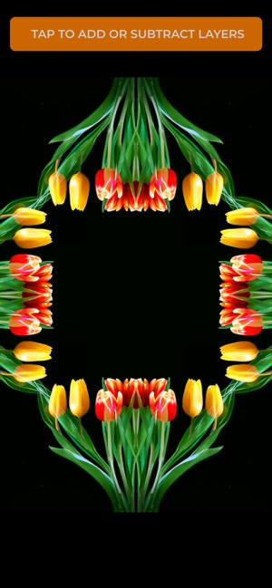 Moodlapse: focus on flowers(圖3)-速報App