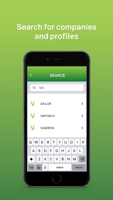 Virgilio Investor Relations Screenshot