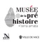 Official application to explore the museum of Terra Amata of Nice