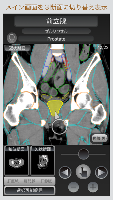 CT Passport 腹部スクリーンショット